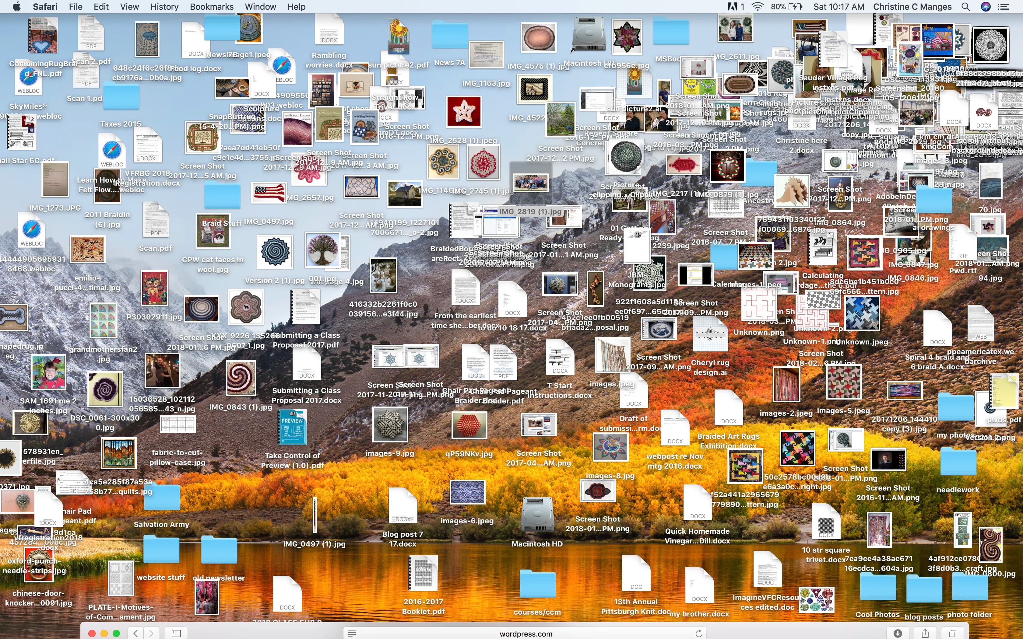 An insanely cluttered macOS desktop